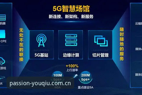 有球体育沉浸式观赛下载问题解决指南：无法下载的完整排查方案